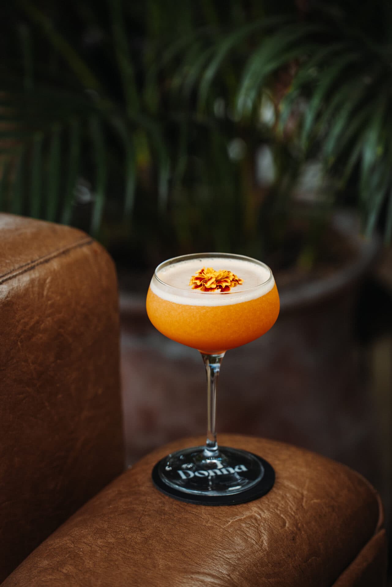 Cocktails